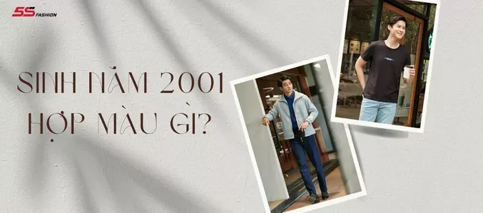 Cach phoi mau hop menh Kim cho nguoi tuoi Ty 2001